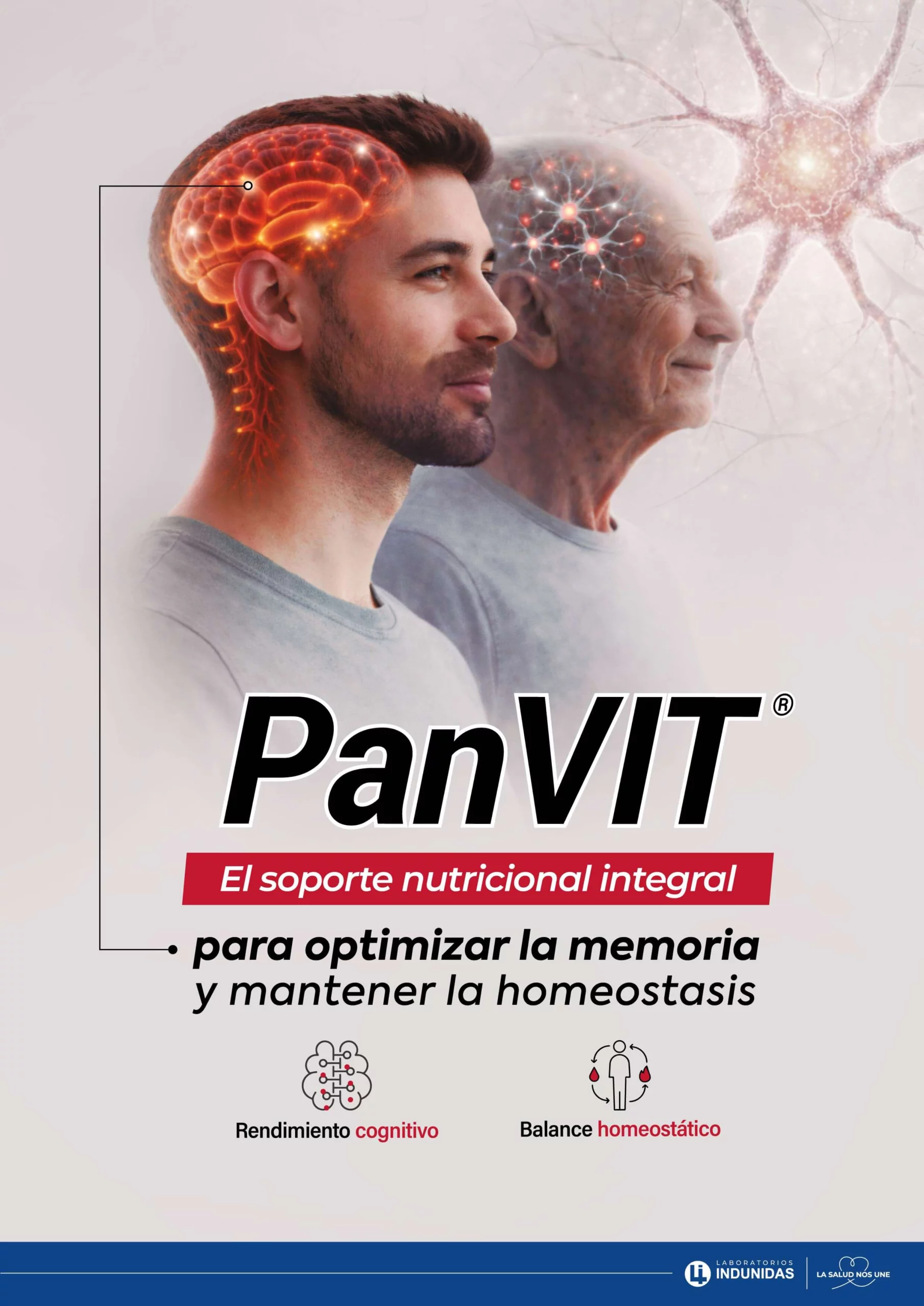 El soporte nutricional integral para optimizar la memoria y mantener la homeostasis