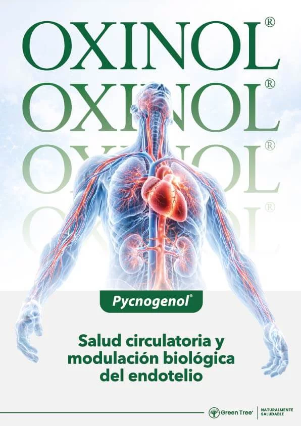 Pycnogenol: Salud circulatoria y modulación biológica del endotelio