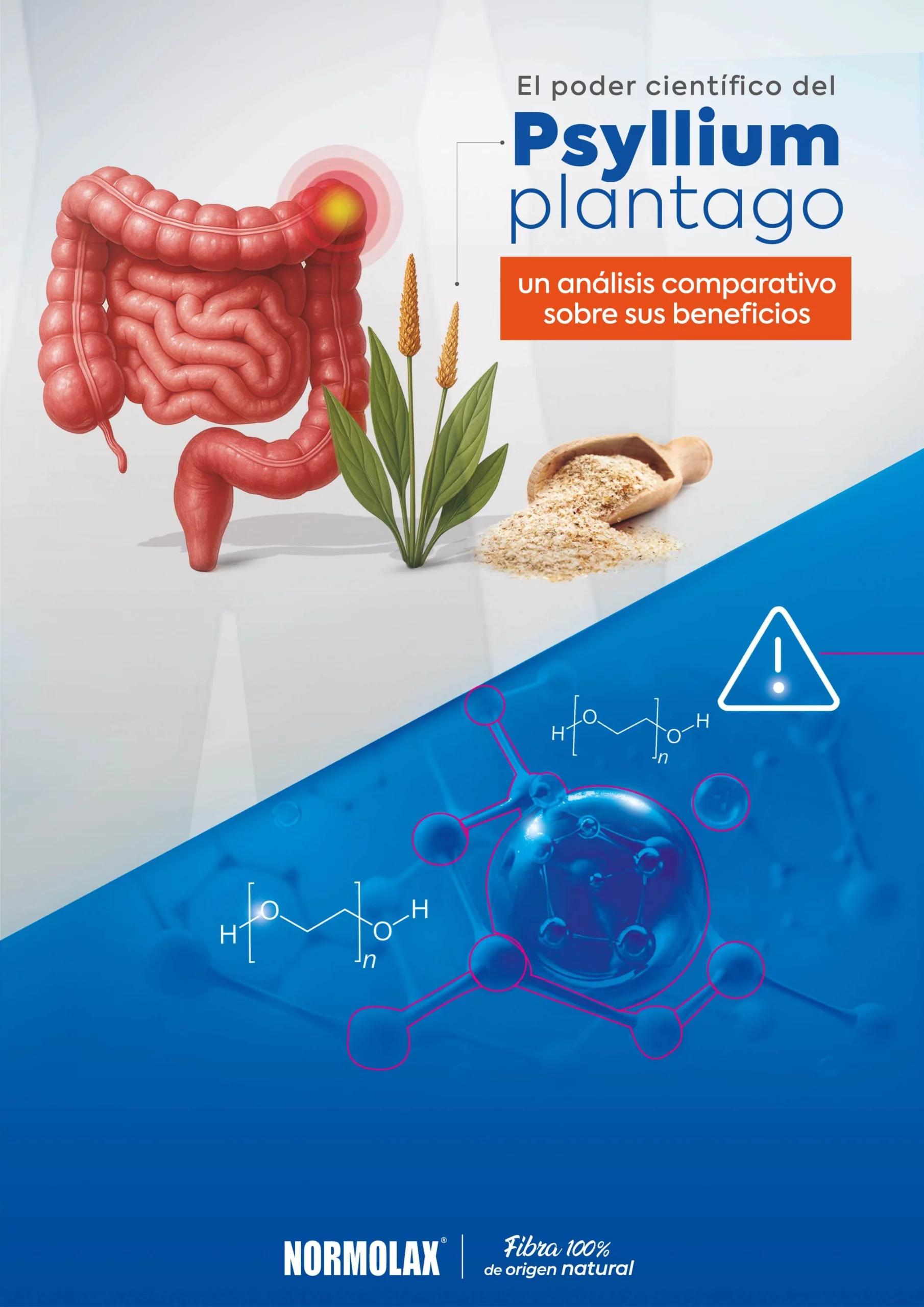 El poder científico del Psyllium plantago, un análisis comparativo sobre sus beneficios