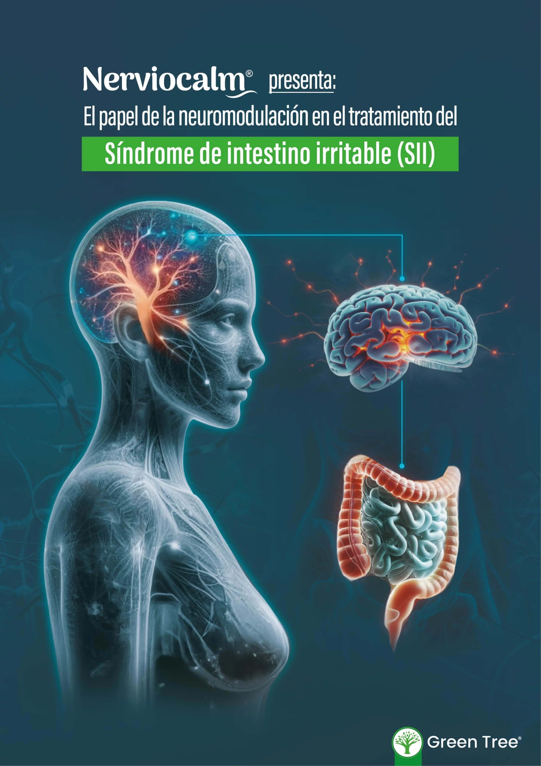 El papel de la neuromodulación en el Síndrome de intestino irritable (SII)